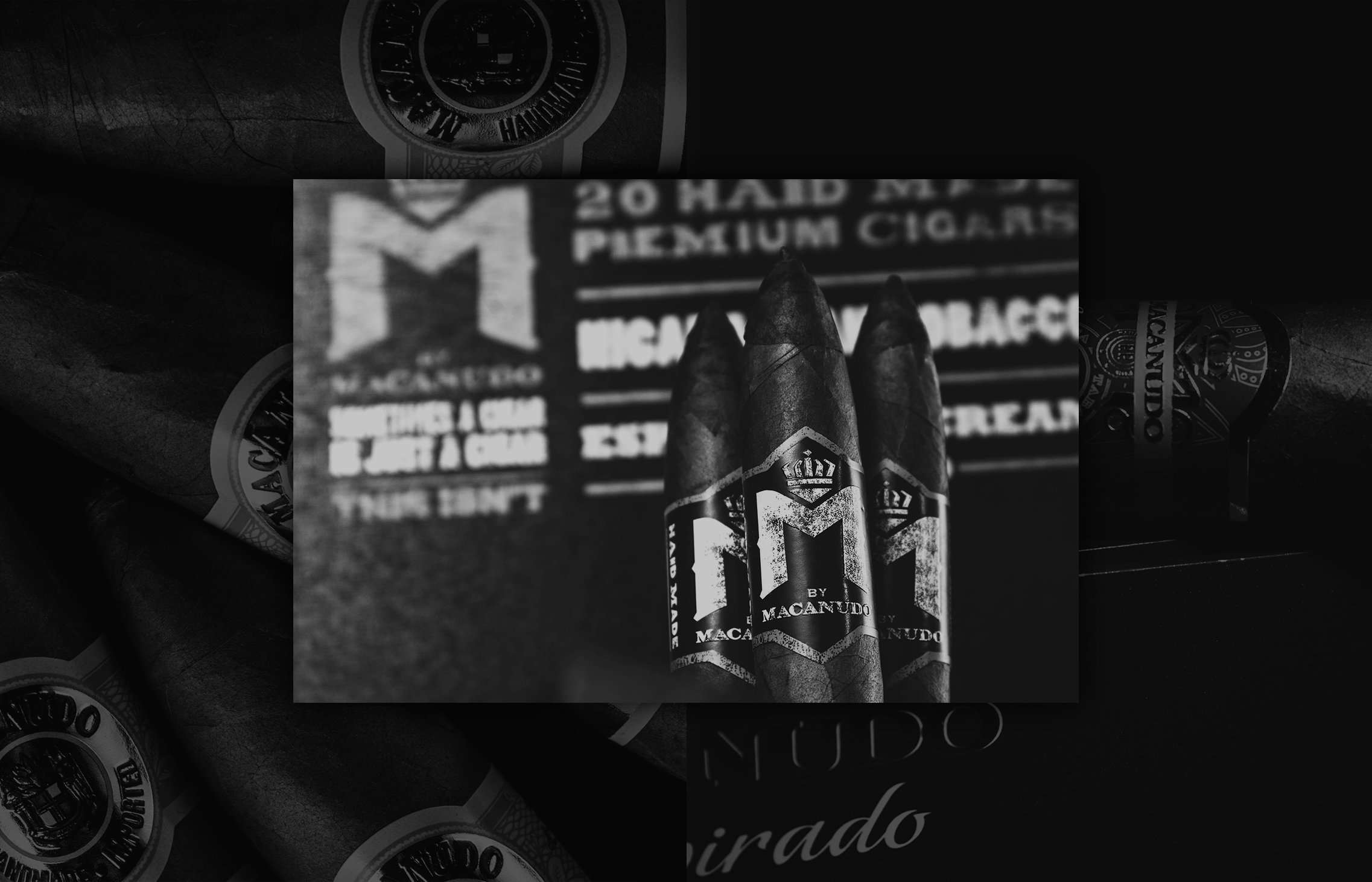Deep Dive: Macanudo Cigars | Cigar World