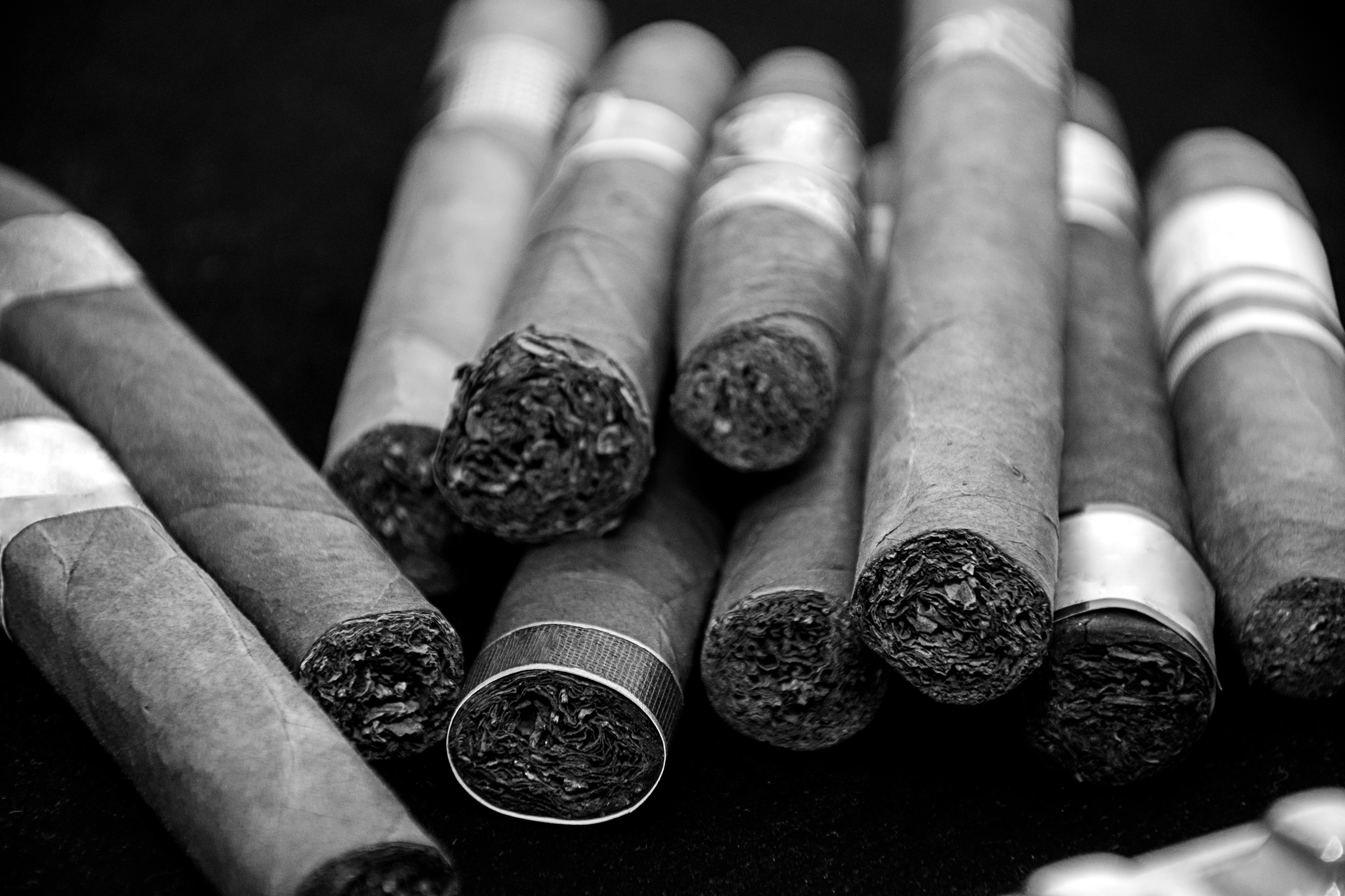 black and white tobacco Connecticut Shade Tobacco